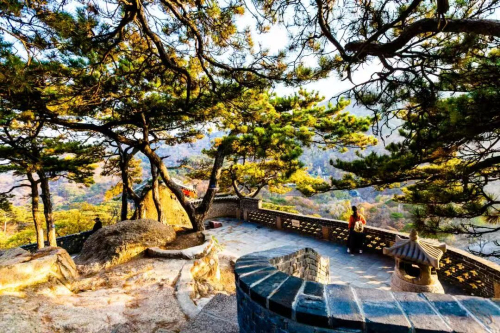 名胜区文明安全旅游倡议书不朽情缘mg网址千山风景(图4)