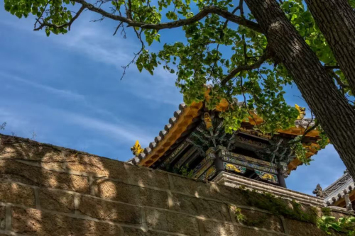 名胜区文明安全旅游倡议书不朽情缘mg网址千山风景(图6)